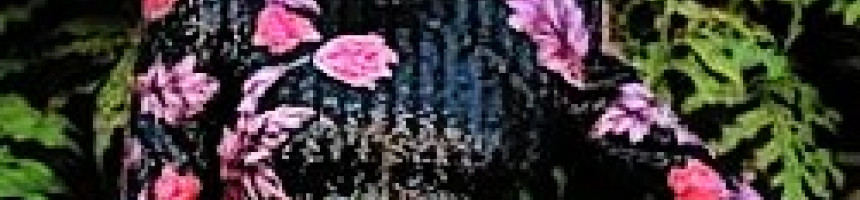 Como Combinar Estampas E Cores Como Combinar Estampas E Cores